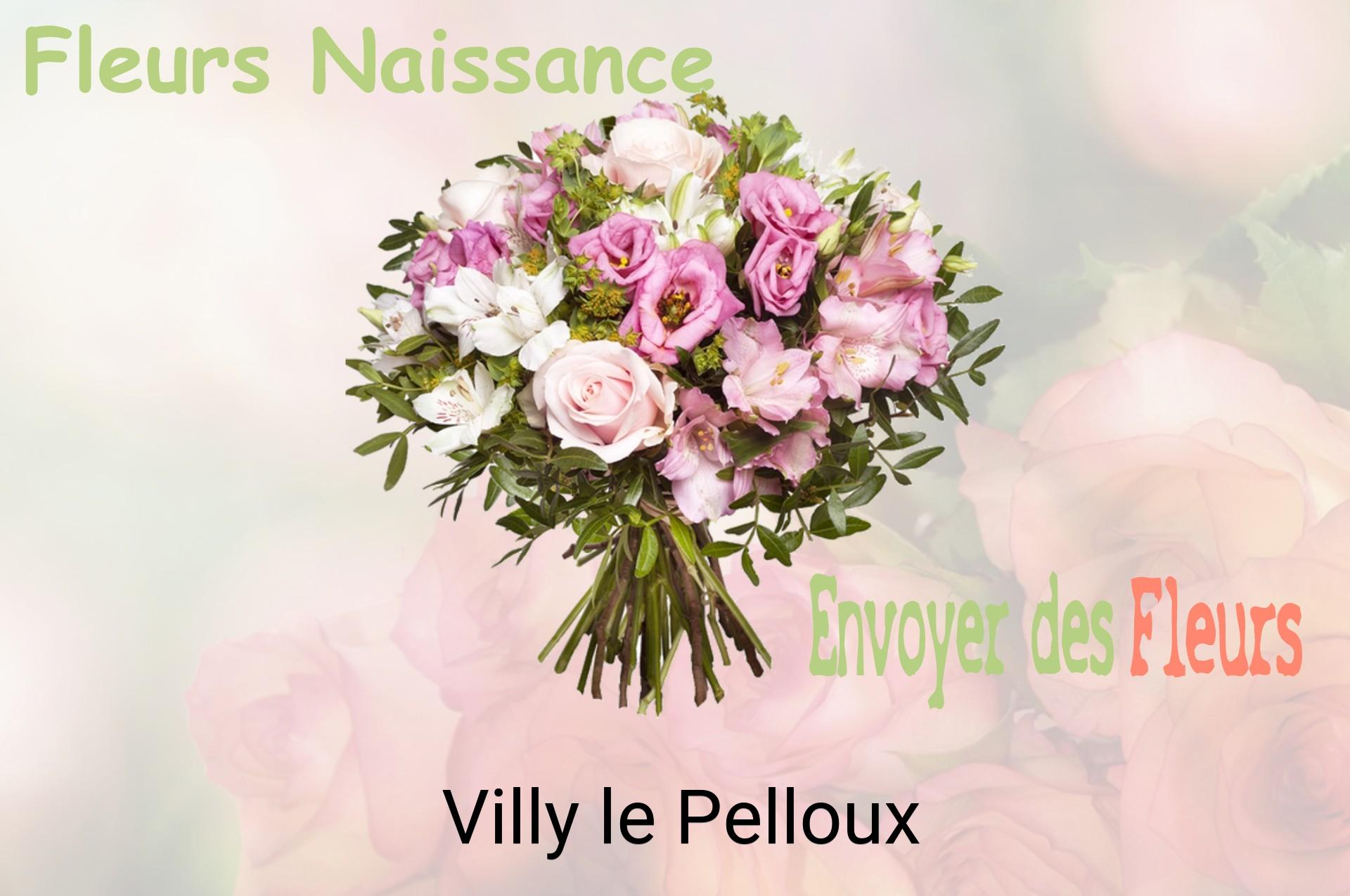 Bouquet de fleurs de naissance livré à Villy-le-Pelloux